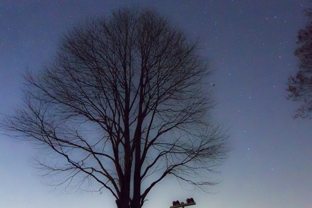 Minamiaso Minami Aso Luna Observatory Auberge Mori No Atelier מראה חיצוני תמונה
