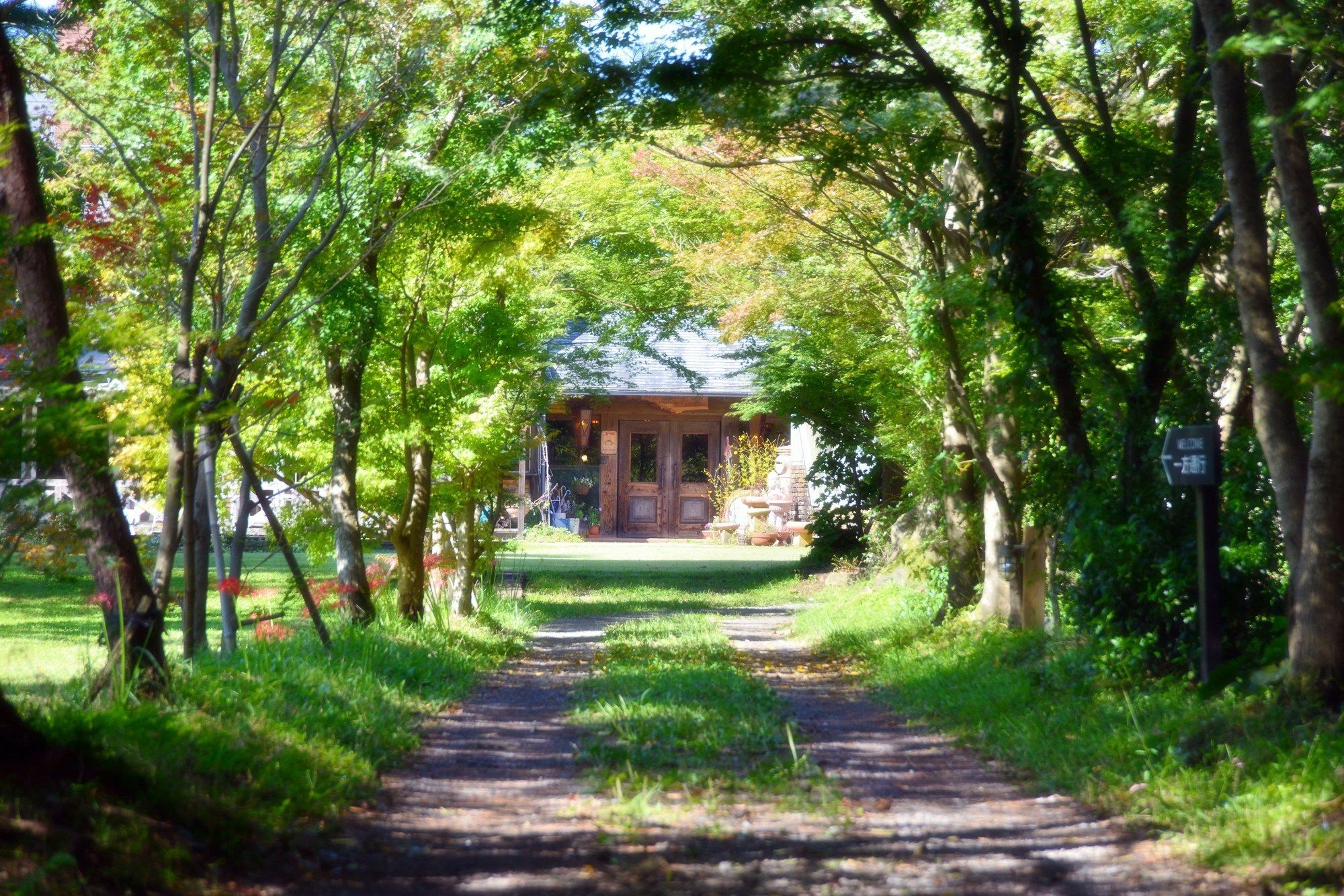 Minamiaso Minami Aso Luna Observatory Auberge Mori No Atelier מראה חיצוני תמונה