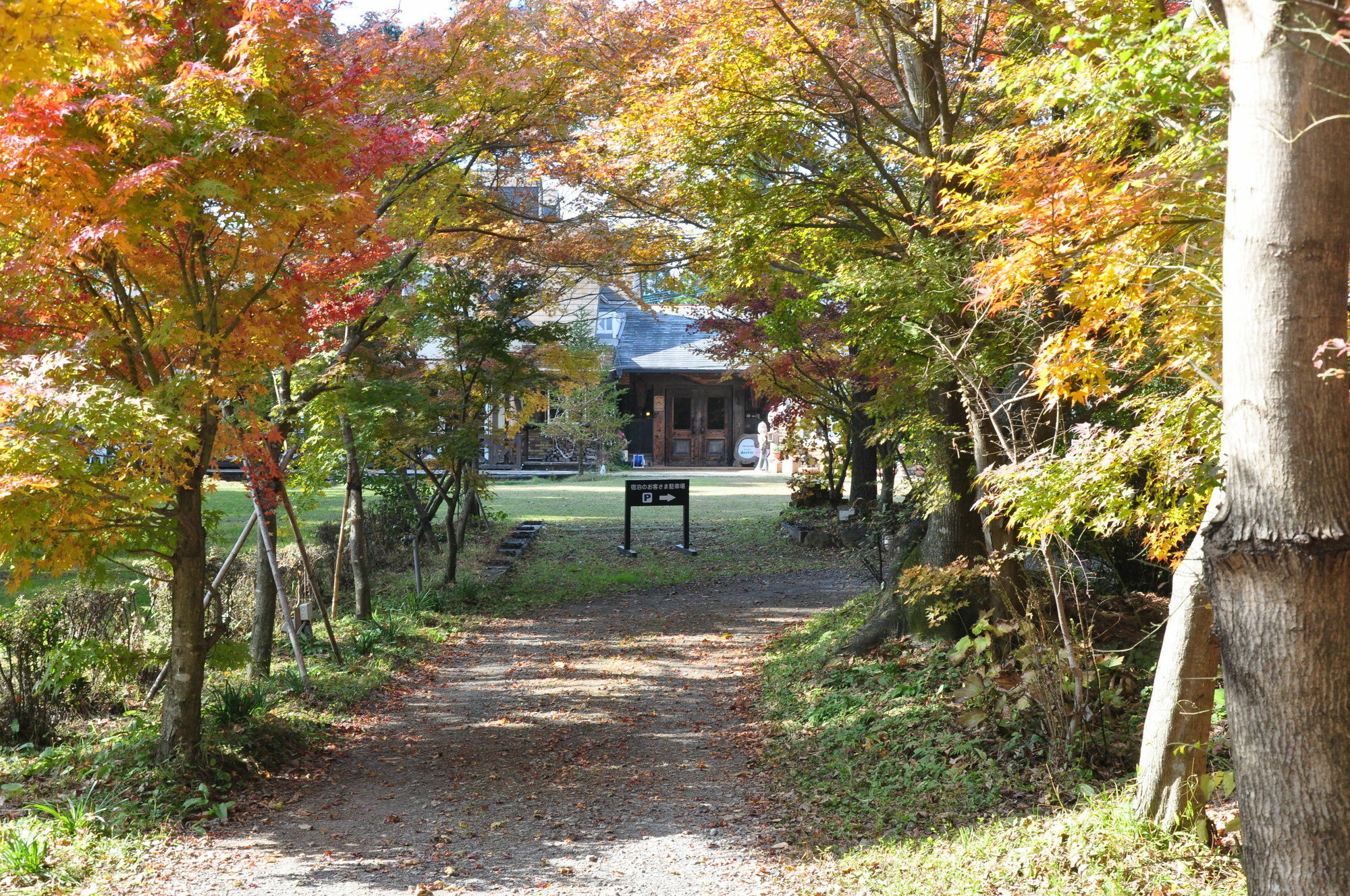 Minamiaso Minami Aso Luna Observatory Auberge Mori No Atelier מראה חיצוני תמונה